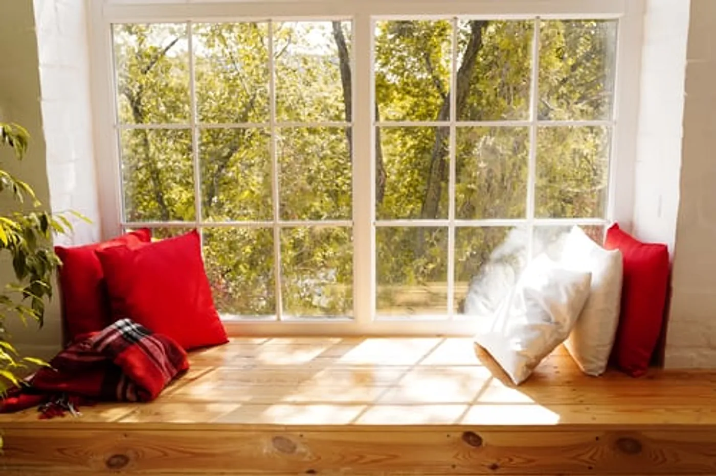 Sunlit window seat with cushions beside a large replacement window