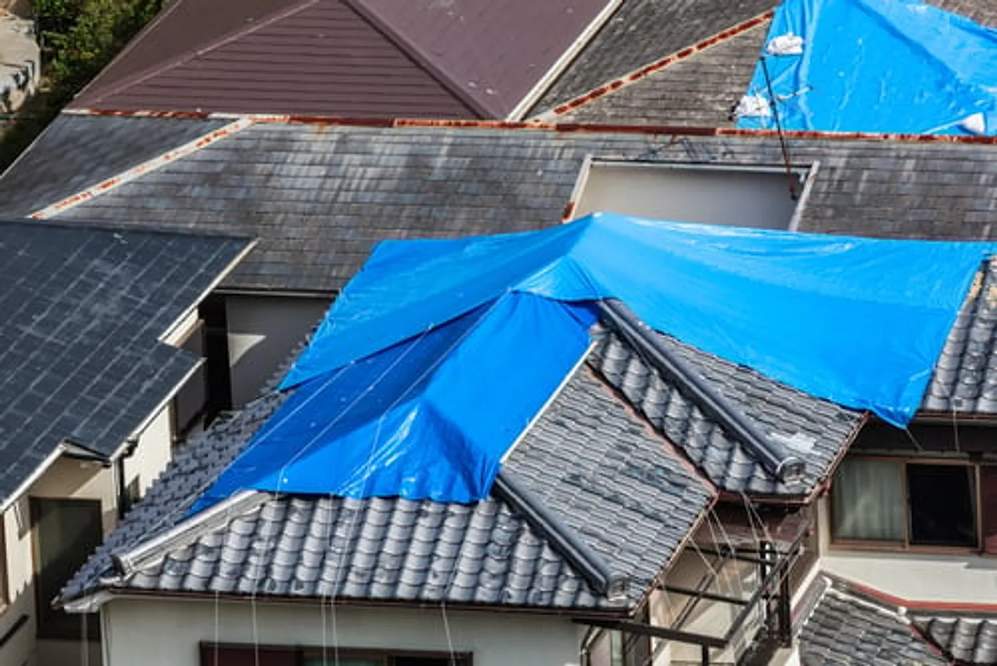 Storm-damaged residential roof covered with a temporary blue tarp